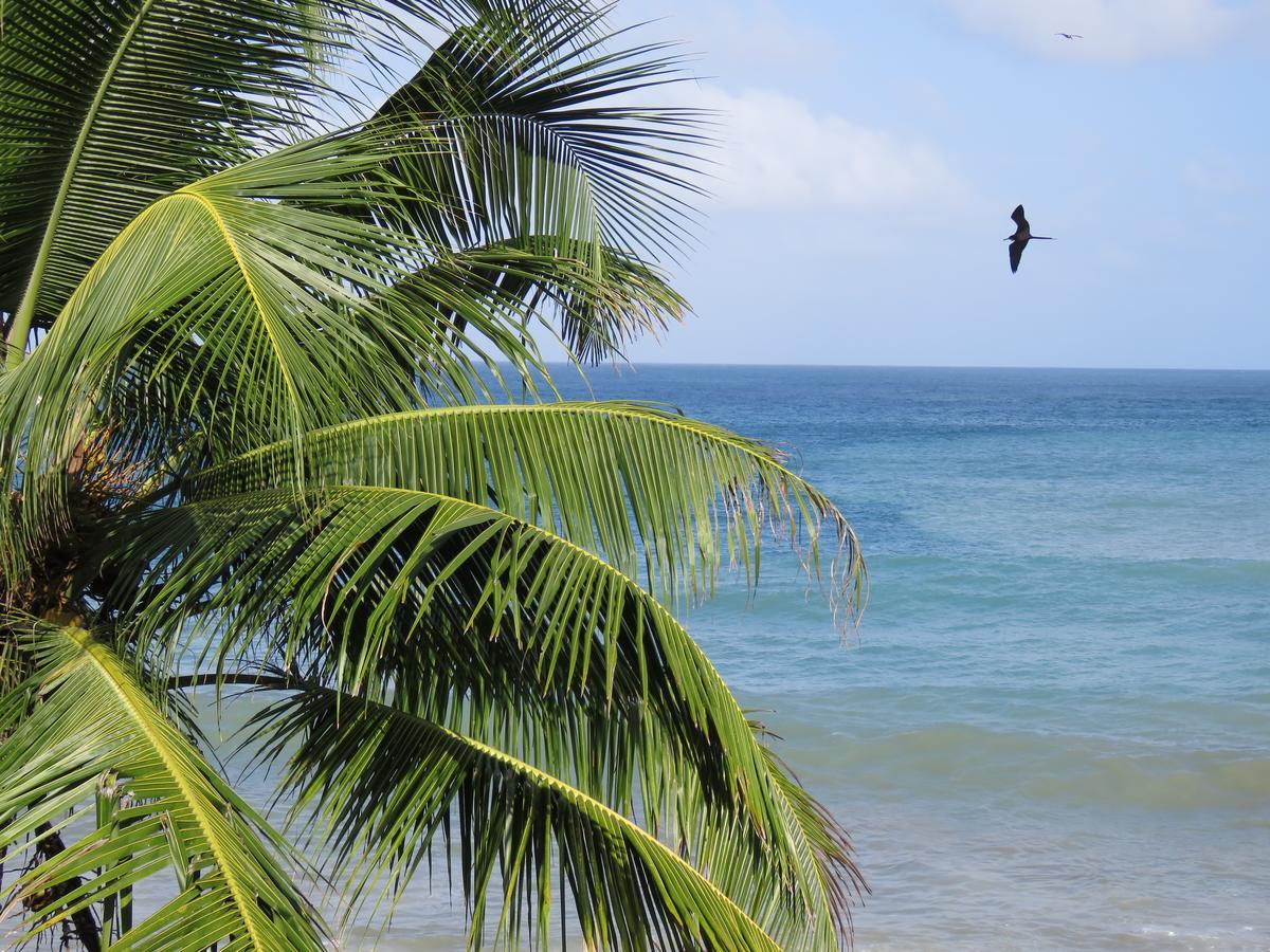 Hotel Las Mananitas Capurganá Eksteriør billede